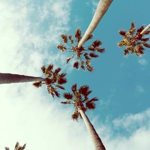 Meet your Posher, Carla